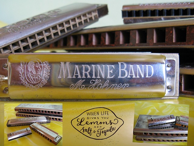 The Harmonica Players 1